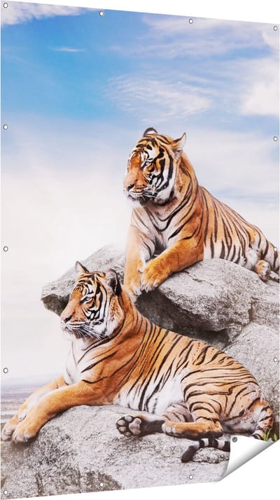 Gards Tuinposter Twee Tijgers op Rotsen met het Blauwe Lucht - 120x180 cm - Tuindoek - Tuindecoratie - Wanddecoratie buiten - Tuinschilderij