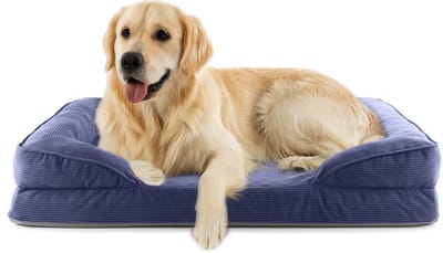 Lumaland orthopedisch hondenbed van corduroy | ergonomische hondensofa 110 x 75 cm – voor grote honden | antislipbodem | vulling en hoes wasbaar | hondenmand met traagschuim