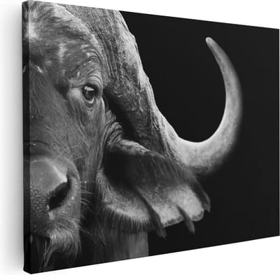 Artaza Canvas Schilderij Dierenkop - 40x30 cm - Klein - Wanddecoratie Buffel Afrika - Muurdecoratie Dieren - Kamer Accessoires