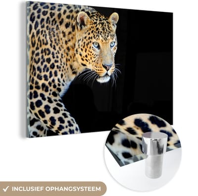 Glasschilderij luipaard - Dieren - Portret - Zwart - Foto op glas - Slaapkamer - 30x20 cm - Wanddecoratie glas - Woondecoratie - Schilderij glas