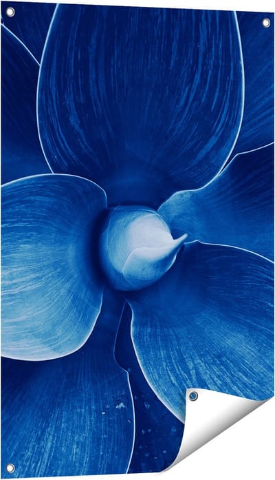 Gards Tuinposter Blauwe Agave Plant - Bloem - 60x90 cm - Tuindoek - Tuindecoratie - Wanddecoratie buiten - Tuinschilderij