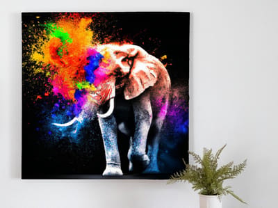 Elephant of colorful explosions | Elephant of Colorful Explosions | Kunst - 40x40 centimeter op Canvas | Foto op Canvas