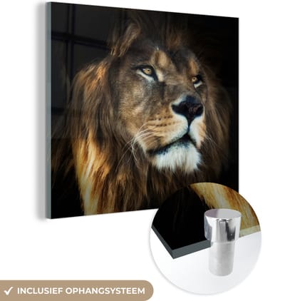 MuchoWow® Glasschilderij 50x50 cm - Schilderij acrylglas - Leeuw - Vacht - Zwart - Foto op glas - Schilderijen