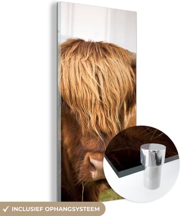 MuchoWow® Glasschilderij 20x40 cm - Schilderij acrylglas - Schotse Hooglanders - Bruin - Gras - Foto op glas - Schilderijen