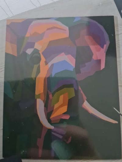 Crelando schilderen op nummer Olifant 40x50cm