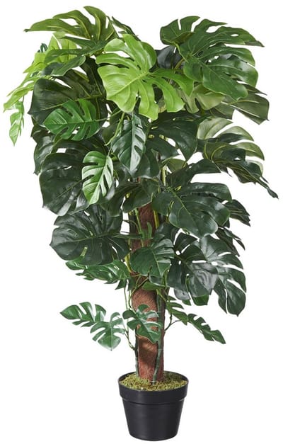 Kunstplant Monstera (mosstok) H115cm - HTT Decorations kunstplanten