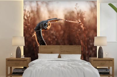 Behang - Fotobehang Vogel - Uil - Zonsondergang - Natuur - Breedte 240 cm x hoogte 240 cm