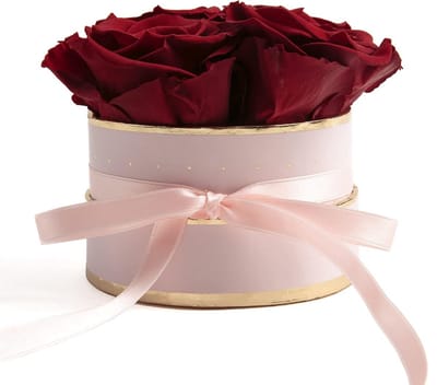 Luxe Rozenbox met Infinity Rozen Donkerrood - Houdbaar tot 3 Jaar | Cadeau voor Haar