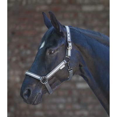Halster voor paarden Waldhausen Reflex Stripe