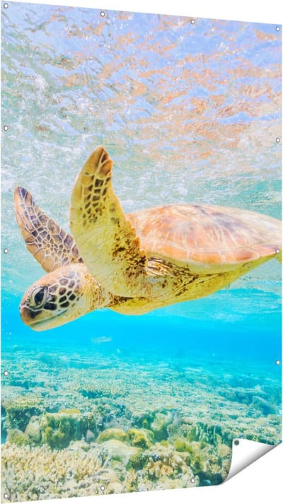 Gards Tuinposter Schildpad Zwemt in de Zee bij het Rif - 120x180 cm - Tuindoek - Tuindecoratie - Wanddecoratie buiten - Tuinschilderij
