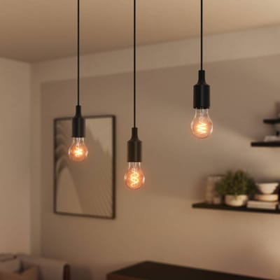 Ledvance LED Armatuur E27 | Vintage 1906 PenduLum Bell Black