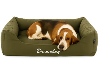 Hondenmand – orthopedisch hondenkussen Dreambay® Olijfgroen 100x80cm – waterafstotend & afneembare hoes – duurzaam comfort uit Europa