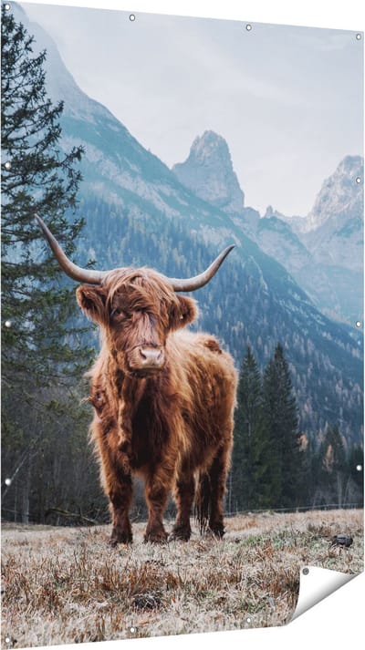 Gards Tuinposter Schotse Hooglander Koe in de Bergen - 120x180 cm - Tuindoek - Tuindecoratie - Wanddecoratie buiten - Tuinschilderij