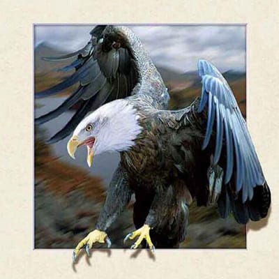 Peinture diamant 5D à faire soi-même, broderie complète d'aigle féroce, point de croix 30x30CM gray