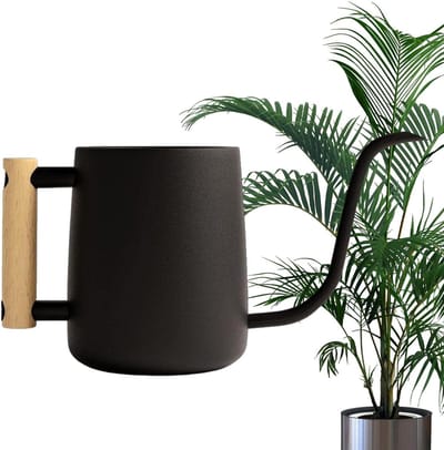 Gieter Kamerplanten - Roestvrij Staal Gieter - Planten Water Geven - Lange Precisie Tuit - 1 Liter - Standaard
