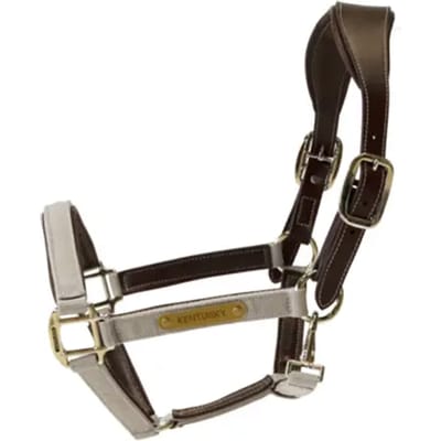 Kentucky Horsewear - Anatomisch Halster - Beige - Nylon - Maat Full