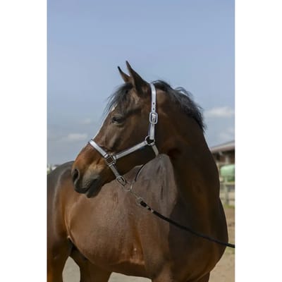 Zacht nylon halster voor paarden Norton