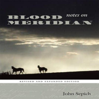 Aantekeningen bij Blood Meridian door John Sepich Paperback Boek 9780292718210