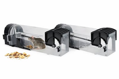 Knaak Muizenval - Rattenval - Diervriendelijke Muizenval voor binnen & buiten - Groot model met beweegruimte - Muizengif alternatief - 2-pack
