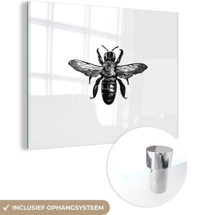 MuchoWow® Glasschilderij 40x30 cm - Schilderij acrylglas - Bij - Insect - Vintage - Zwart wit - Foto op glas - Schilderijen