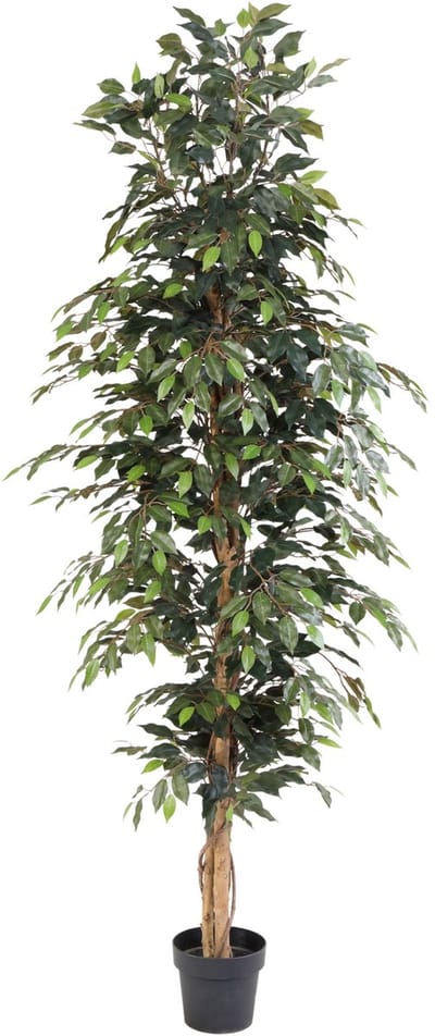 Florafy Kunstplant Ficus Benjamina 205cm - Kunstplanten voor binnen - Onderhoudsvrij