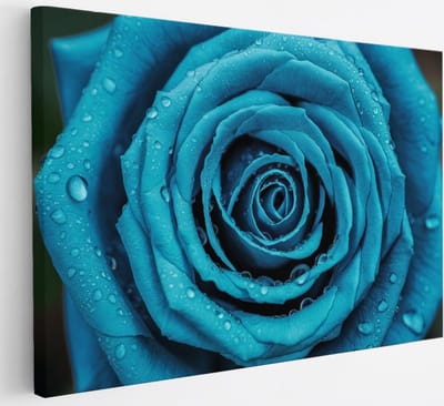 Saammp Canvas Schilderij - Blauwe Roos Met Waterdruppels - Natuur - Abstract - 30x20 - Foto op canvas - Wanddecoratie - Muurdecoratie Woonkamer - Kantoor Decoratie