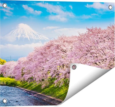 Gards Tuinposter Roze Bloesembomen bij de Fuji Berg - 50x40 cm - Tuindoek - Tuindecoratie - Wanddecoratie buiten - Tuinschilderij