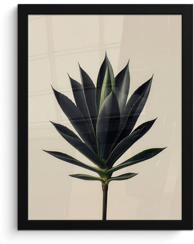 Poster in lijst - Fotolijst 30x40 cm - Posters - Agaveplant - Symmetrisch - Groen - Posterlijst zwart - Decoratie - Wanddecoratie woonkamer - Muurdecoratie slaapkamer