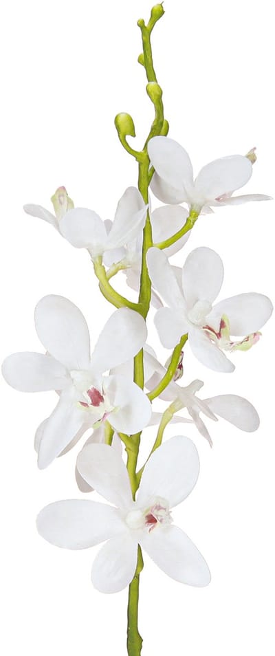 Kunstmatige orchideeën witte bloesem Ø3,5–5 cm L38 cm 2 stuks, 2 Stück