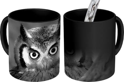Magische Mok - Foto op Warmte Mokken - Koffiemok - Vogel - Uil - Portret- Zwart - Wit - Magic Mok - Beker - 350 ML - Theemok