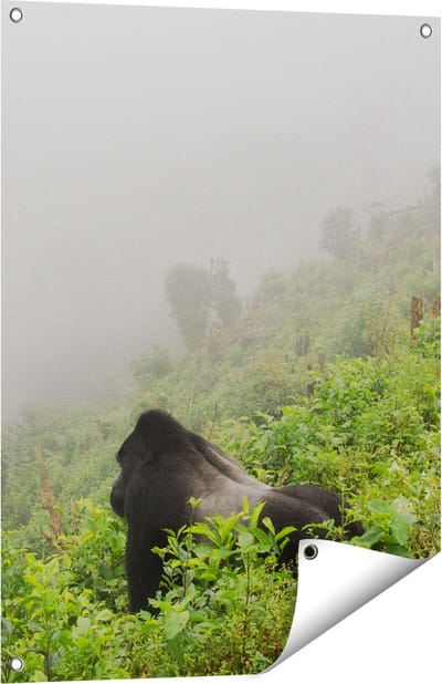 Gards Tuinposter Gorilla in het Woud tijdens de Mist - 60x80 cm - Tuindoek - Tuindecoratie - Wanddecoratie buiten - Tuinschilderij