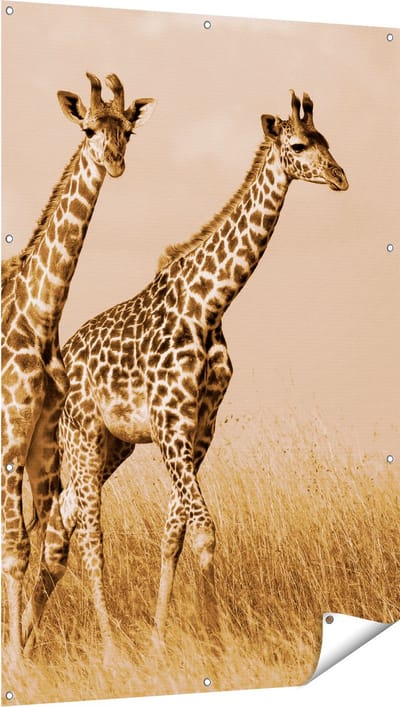 Gards Tuinposter Twee Giraffes in het Veld - 100x150 cm - Tuindoek - Tuindecoratie - Wanddecoratie buiten - Tuinschilderij