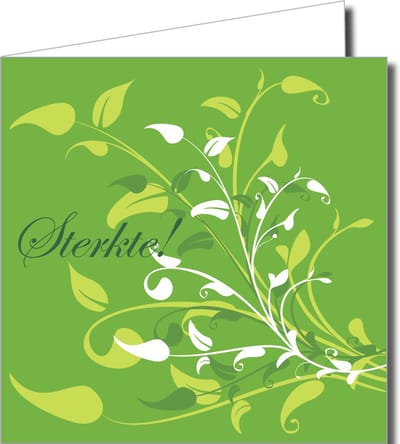 Wenskaartenpakket Beterschap – 12 Stuks met Vrolijke Gekleurde Letters, Kikker en Hond (14,5 x 14,5 cm)