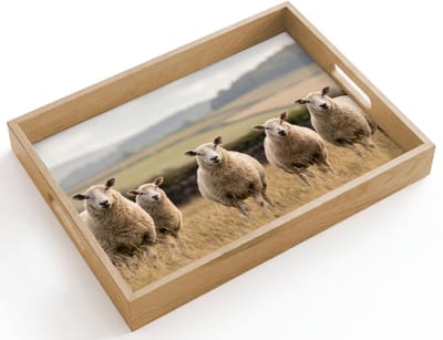 Dienblad hout 40x30 cm - Schootdienblad - Schapen - Weidenlandschap - Heuvels - Borrelplank rechthoek - Plateau dienbladen