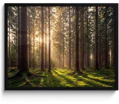 Poster in lijst - Fotolijst 80x60 cm - Posters - Bos - Gras - Zonlicht - Posterlijst zwart - Decoratie - Wanddecoratie woonkamer - Muurdecoratie slaapkamer
