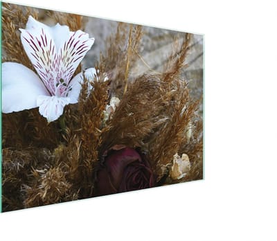 Glazen Werkblad Beschermer - Kookplaat Afdekplaat - Keuken Beschermen - Hittebestendig Krasvast - 30x22 cm - Orchidee