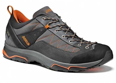 Asolo Pipe Gv Gore-tex® Wandelschoenen Grijs EU 43 2/3 Man