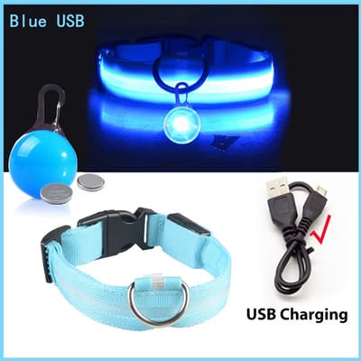 USB Oplaadbare Lichtgevende Hondenhalsband – LED Halsband voor Kleine Honden en Katten - Nachtveiligheid Halsband met Afneembare Pendant - Blauw