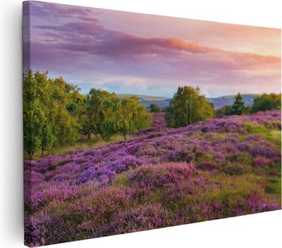 Artaza Canvas Schilderij Heide - 30x20 cm - Klein - Wanddecoratie Landschap - Muurdecoratie Bos - Kamer Accessoires Natuur