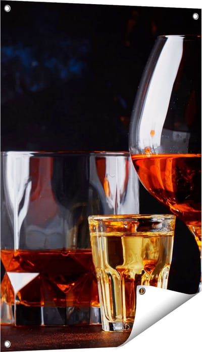 Gards Tuinposter Sterke Alcohol Drank - Glazen - 60x90 cm - Tuindoek - Tuindecoratie - Wanddecoratie buiten - Tuinschilderij