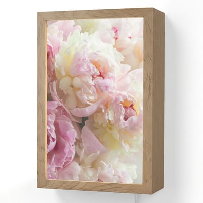 Wandlamp 20x30 cm - Oplaadbaar - Vintage - Bloemen - Rozen - Natuur - Wandlampen binnen woonkamer - Slaapkamer lamp met kabel - Decoratieve nachtlamp - Vloerlamp snoer