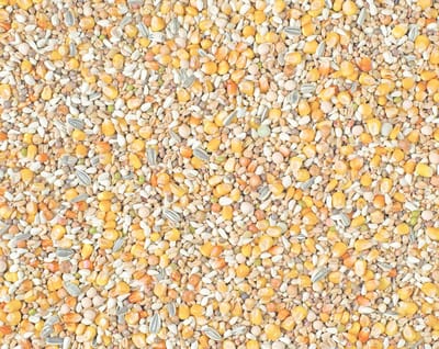 Natural Sport Maxi 2m Popcorn 25 KG