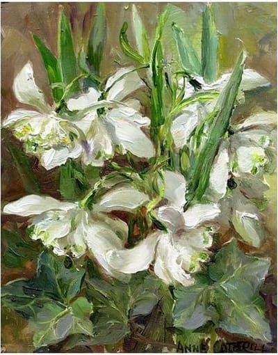 Cadeaukaart Dubbele sneeuwklokjes 7,5x9,5cm
