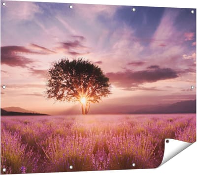Gards Tuinposter Bloemenveld met Lavendel bij Zonsondergang - 120x90 cm - Tuindoek - Tuindecoratie - Wanddecoratie buiten - Tuinschilderij