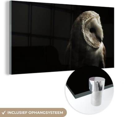MuchoWow® Glasschilderij 40x20 cm - Schilderij acrylglas - Uil - Vogel - Portret - Foto op glas - Schilderijen