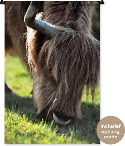 Wandkleed Schotse Hooglanders  - Grazende Schotse hooglander in de zon Wandkleed katoen 90x135 cm - Wandtapijt met foto