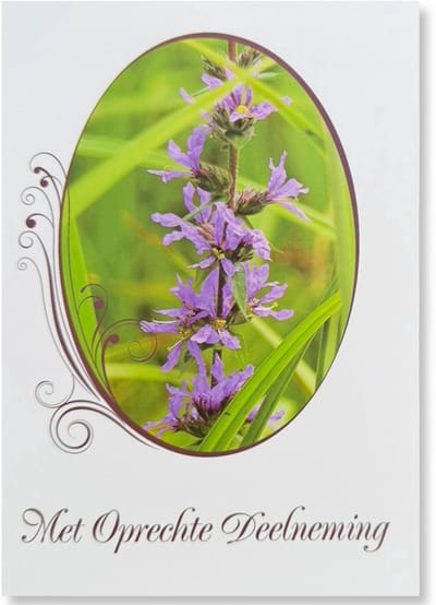 Cards & Crafts Condoleancekaart - Met Oprechte Deelneming Wenskaart - 12 x 17 cm - gevouwen kaart Inclusief envelop