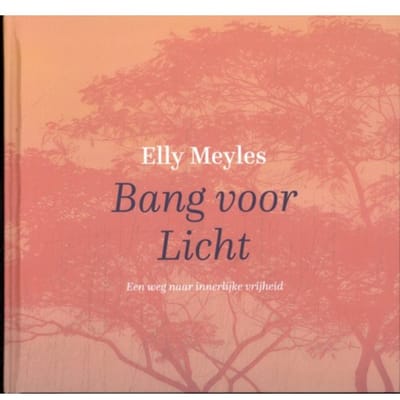 Bang Voor Licht - Elly Meyles