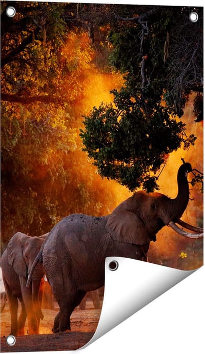Gards Tuinposter Twee Olifanten in het Bos - 40x60 cm - Tuindoek - Tuindecoratie - Wanddecoratie buiten - Tuinschilderij