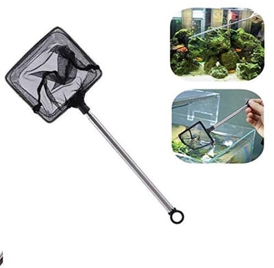 Dailygoods- Visschepnet Roestvrij Staal - Telescopisch - Compact - Lichtgewicht - Aquariumaccessoires - Voor Vissen en Garnalen - Aquariumnet